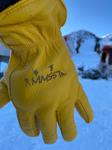 ski glove
